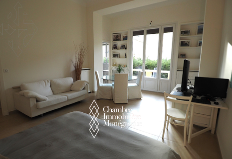 VERY LARGE STUDIO RENOVATED AND BRIGHT