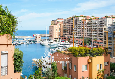PORTO DI FONTVIEILLE - MONOLOCALE - VISTA MARE