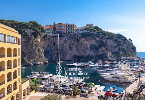 SPACIEUX 2P DOMINANT LE PORT DE FONTVIEILLE - RÉSIDENCE 'LE BOTTICELLI'