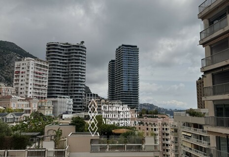 STUDIO FOR RENT CHATEAU D'AZUR
