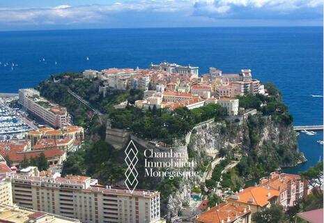 Offre en cours/Monaco Ville-Charmant appartement - avec entrée privative