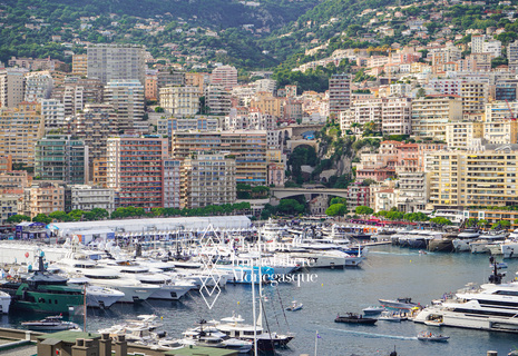 PORT DE MONACO - 2 PIÈCES - VUE MER ET F1 - 2 PARKINGS