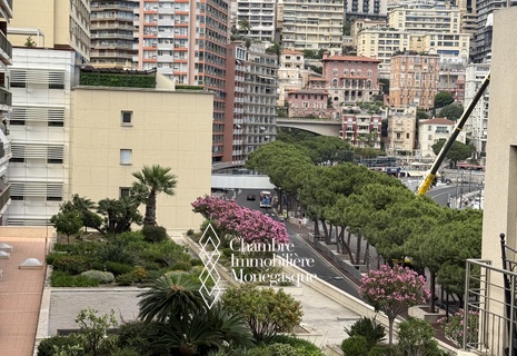 Petrel - very nice 2-room apartment