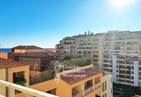 Rare Roof avec Terrasse de Plain-Pied