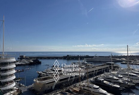 EXCLUSIVITE - 6P Duplex QUAI KENNEDY