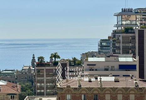 MAGNIFIQUE APPARTEMENT BOURGEOIS VUE MER