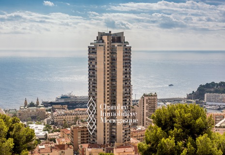 LIVING ON TOP OF THE WORLD! CARRE D'OR APARTMENT