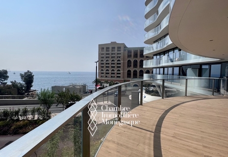 EXCEPTIONAL NEW APARTMENT IN LARVOTTO