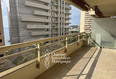 Château Amiral - Bright 2-room apartment with terrace