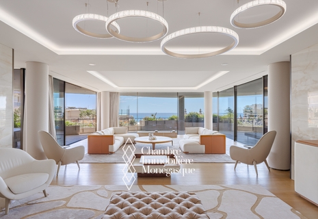 EXCEPTIONAL APARTMENT IN THE CARRE D'OR