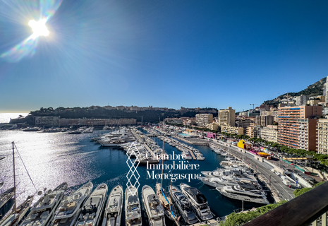 EXCLUSIVITE - BEAU RIVAGE - PENTHOUSE - 3 PIECES RENOVE ET MEUBLE