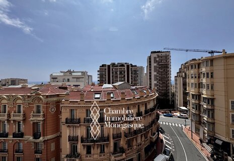 Luxurious 3-Room Apartment in Monte-Carlo