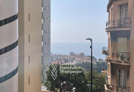 Beautiful renovated 4 room apartment - Villa Bosio