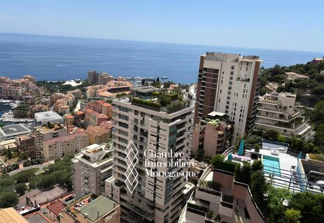 Beau 4 pièces rénové - Jardin Exotique.