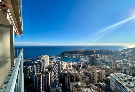 2 pièces au Millefiori avec vue mer.