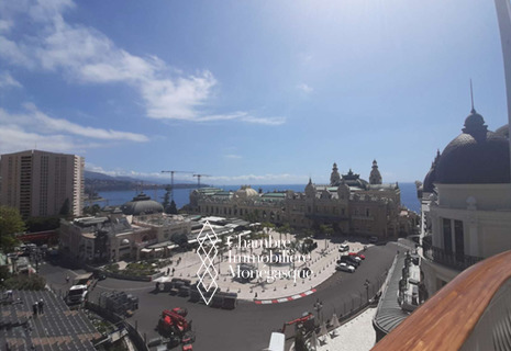 OPPORTUNITY DUPLEX ONE MONTE CARLO