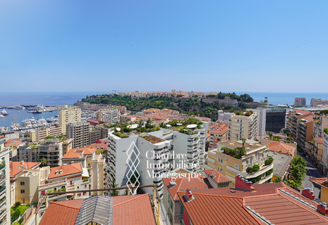 BEVERLY PALACE - 3 PIÈCES RÉNOVÉ - VUE MER ET PALAIS