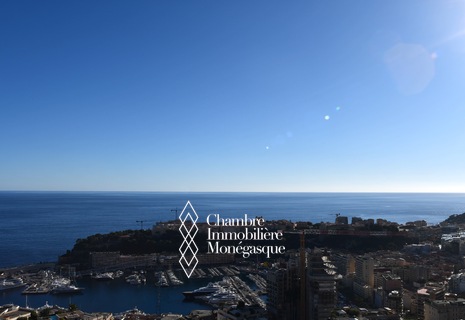 Healthy cellar available for sale on Port Hercules