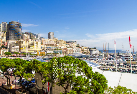 Spazioso appartamento di 2 locali in prima linea di Port Hercule