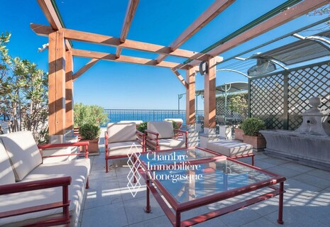 SOMPTUEUX ET UNIQUE PENTHOUSE