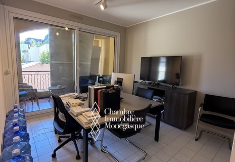 Michelangelo - nice 2-room flat with mixed use