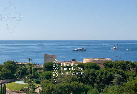 PROCHE DES PLAGES ET DE L'ISM APPARTEMENT D'EXCEPTION MEUBLÉ AVEC PRESTATIONS TRÈS LUXUEUSES