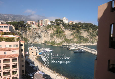 Le Grand Large - Nice studio with terrace and marina view