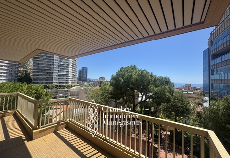 3 ROOMS - POINT DU JOUR