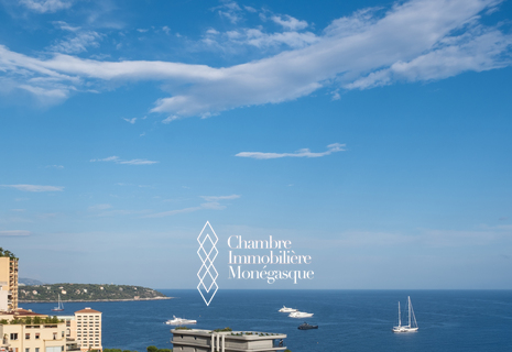 Nouveau-Exclusivité - Spacieux studio avec vue mer