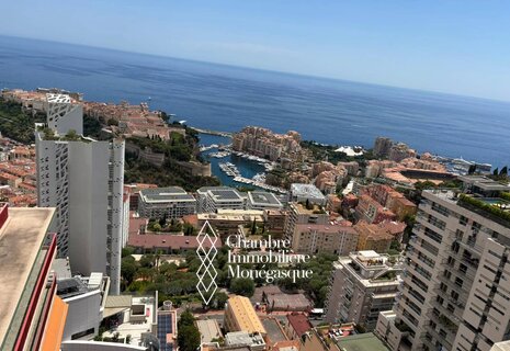 Magnificent 3-room renovated and furnished.