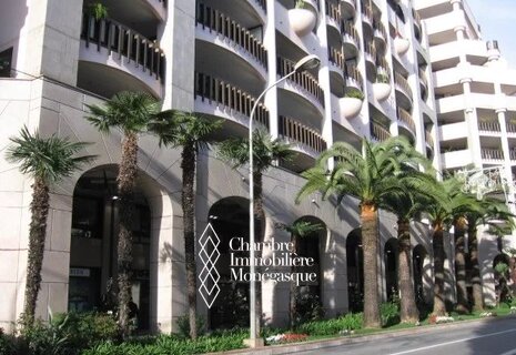 PARKING 401 - MONTE-CARLO PALACE
