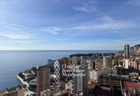 ANNONCIADE - Penthouse Duplex 4/5 rooms