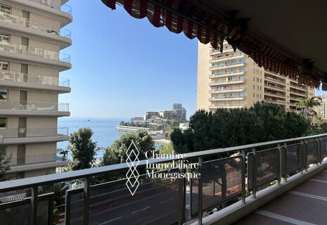 EXCLUSIVITE - Appartement 2 chambres au Larvotto