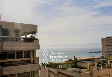 Studio à usage mixte - Château Amiral