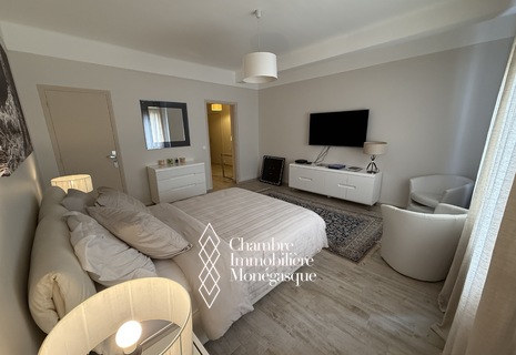 Spacious Studio at Place des Moulins