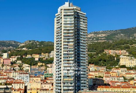 LIVING ON TOP OF THE WORLD! CARRE D'OR APARTMENT