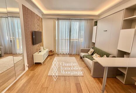 FUMETTO DAL BELGIO / GRANDE STUDIO COMPLETAMENTE RINNOVATO