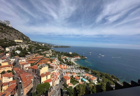 PARC SAINT ROMAN FOR RENT: 2 Rooms - sea view - terrace - parking