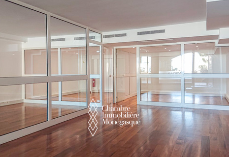 FONTVIEILLE PORT - OFFICE QUIET & PERFECT CONDITION