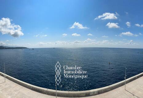 4 PIECES DE 531m² - RESIDENCE LE RENZO - MARE TERRA