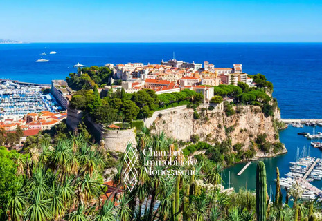 Renovated studio converted into a 2-room apartment in the Monaco-Ville district