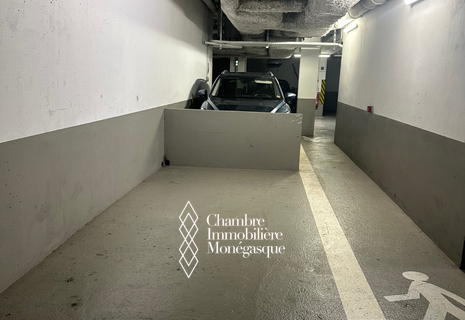 LOCATION PARKING MONTE CARLO VIEW