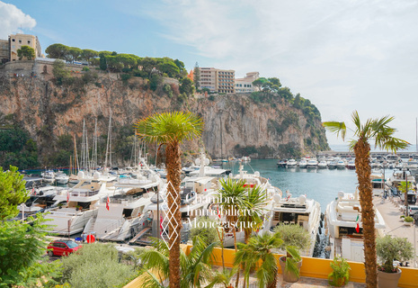 FONTVIELLE - STUDIO WITH SEA AND ROCK VIEW