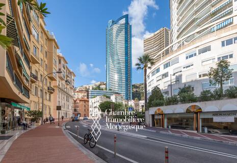 Large furnished office | Bd d'Italie | Near Larvotto