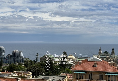 MONACO CENTRE RIVIERA PALACE 4 PIECES RENOVE AVEC VUE MER