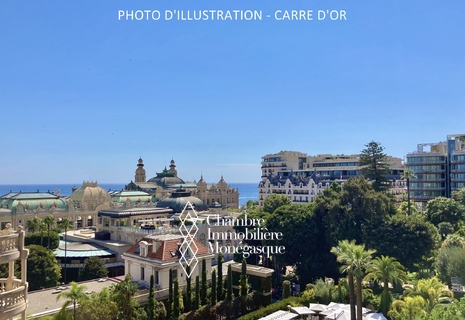 Palais Saint James – Hyper central secure cellar – Carré d'Or