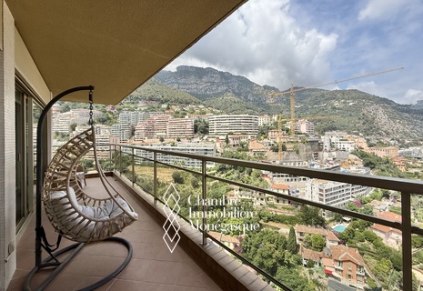 APPARTEMENT ANNONCIADE - A louer appartement 2 pièces avec grande terrasse, cave et parking
