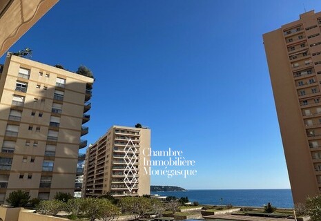 Grand appartement lumineux au coeur de Monaco