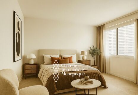 Bright studio apartment - Château Amiral