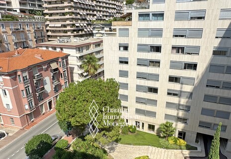 Bright studio apartment - Château Amiral